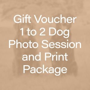 Gift Voucher - 1-2 Dog Photo Session plus Wall Art or Print credit