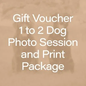 Gift Voucher - 1-2 Dog Photo Session plus Wall Art or Print credit