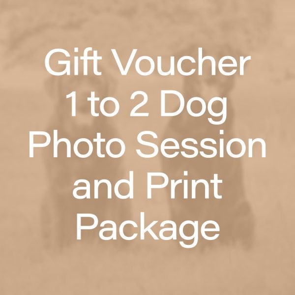 Gift Voucher - 1-2 Dog Photo Session plus Wall Art or Print credit