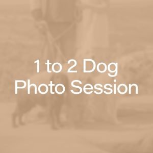 Buy a 1-2 dog photography session around Harrogate, York and Leeds