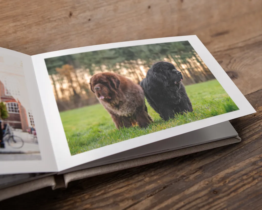 We can create photo books of the images from your pet dog photography session