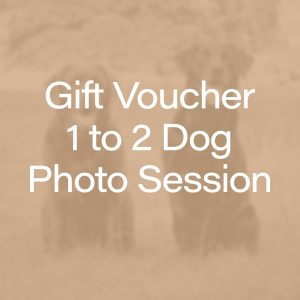 Gift Voucher for a 1-2 dog photography session.