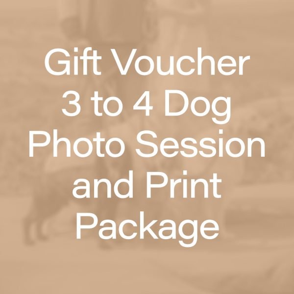 Gift Voucher - 3-4 Dog Photo Session plus Wall Art or Print credit
