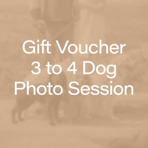 Buy a gift voucher for a Yorkshire based, 3 to 4 dog, dog photography session.