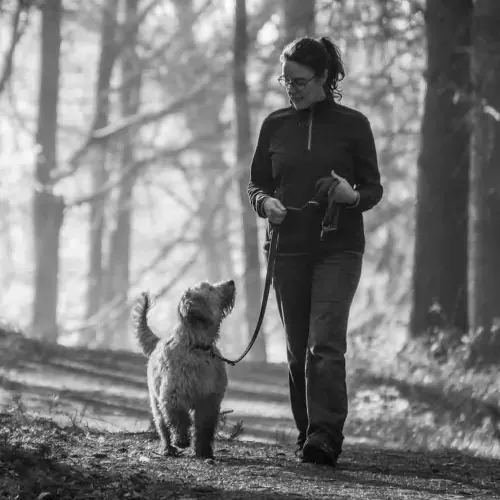 Our dog photography sessions can take place in picturesque woodland in the Washburn Valley